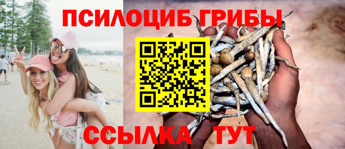Камышин  Галлюциногенные грибы Magic Shrooms  Вход с VPN 